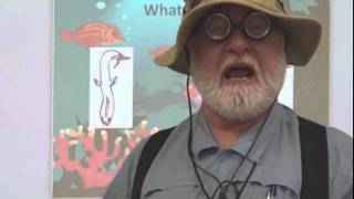 COSC1401News20110906.wmv