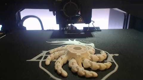Ender 3 Octopi Sentient Octopus Timelapse