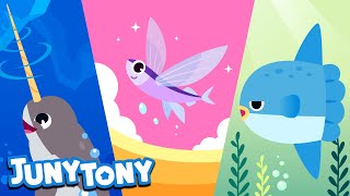 Awesome Sea Animals | Meet Sea Animal Friends | Animal Song for Kids | Kindergarten Song | JunyTony