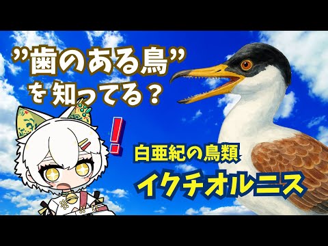 歯がある鳥「イクチオルニス」ってどんな生き物？