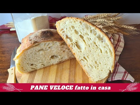 PANE VELOCE fatto in casa Pane furbo Pane comodo Pane alta idratazione