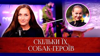 Скільки їх, собак-героїв | Код націй