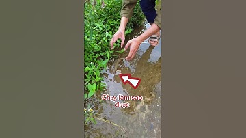 Fishing Tay không bắt cá lóc #fishing #cauca #caucagiaitri #short