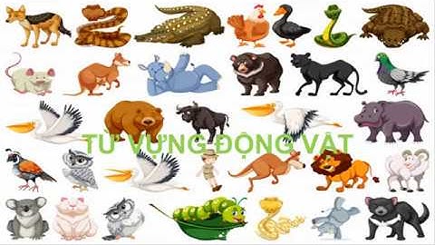 ĐỘNG VẬT/ TỪ VỰNG TIẾNG HÀN THEO CHỦ ĐỀ