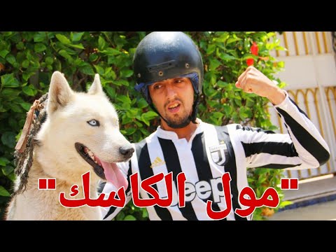 مجرم خطير مول الكاسك والحرب مع الشرطة الكلب الوفي 