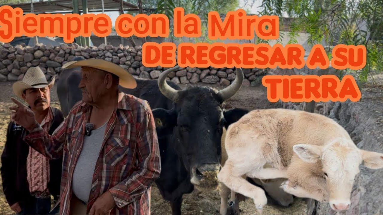 SIEMPRE CON LA MIRA DE REGRESAR A MI TIERRA MAS DE CUARENTA AÑOS EN LA USA