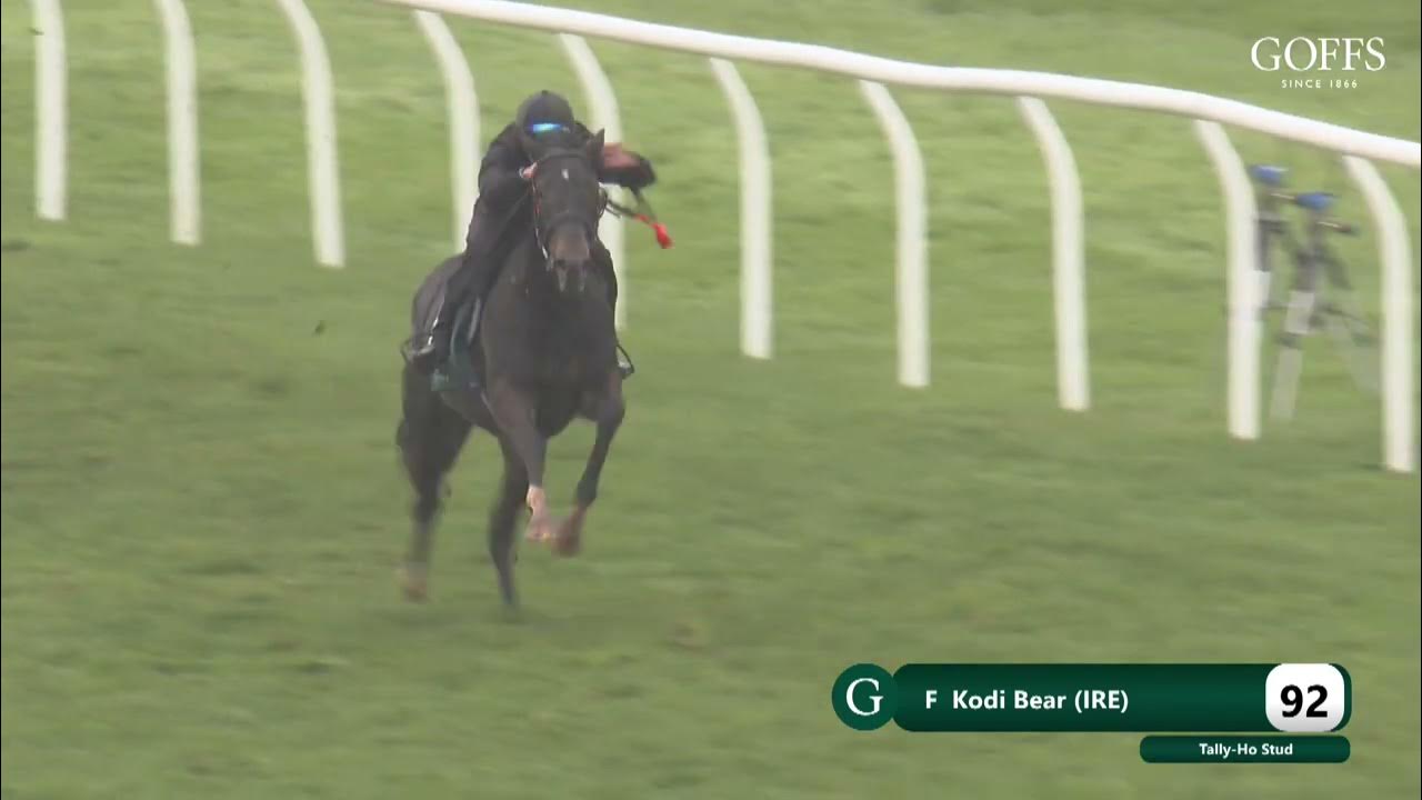 Goffs Breeze Up 2024 Lot 92 YouTube