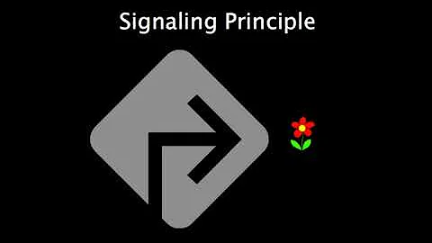 Principles for reducing extraneous processing in multimedia learning