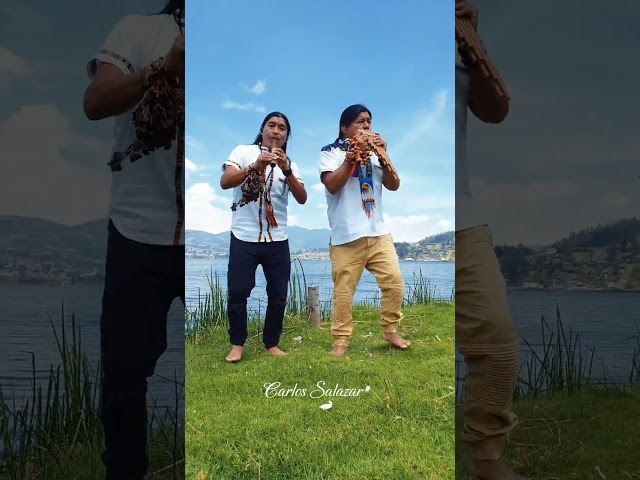 Oro Verde - San Juanito / Live Song ( Video Vertical ) zampoña / By Carlos Salazar class=