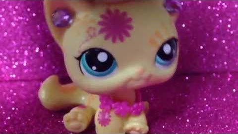 Making a LPS Custom! (Time-lapse video)