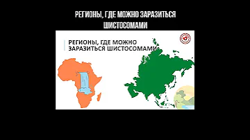 Регионы, где можно заразиться шистосомами #африка #азия #шистосомы