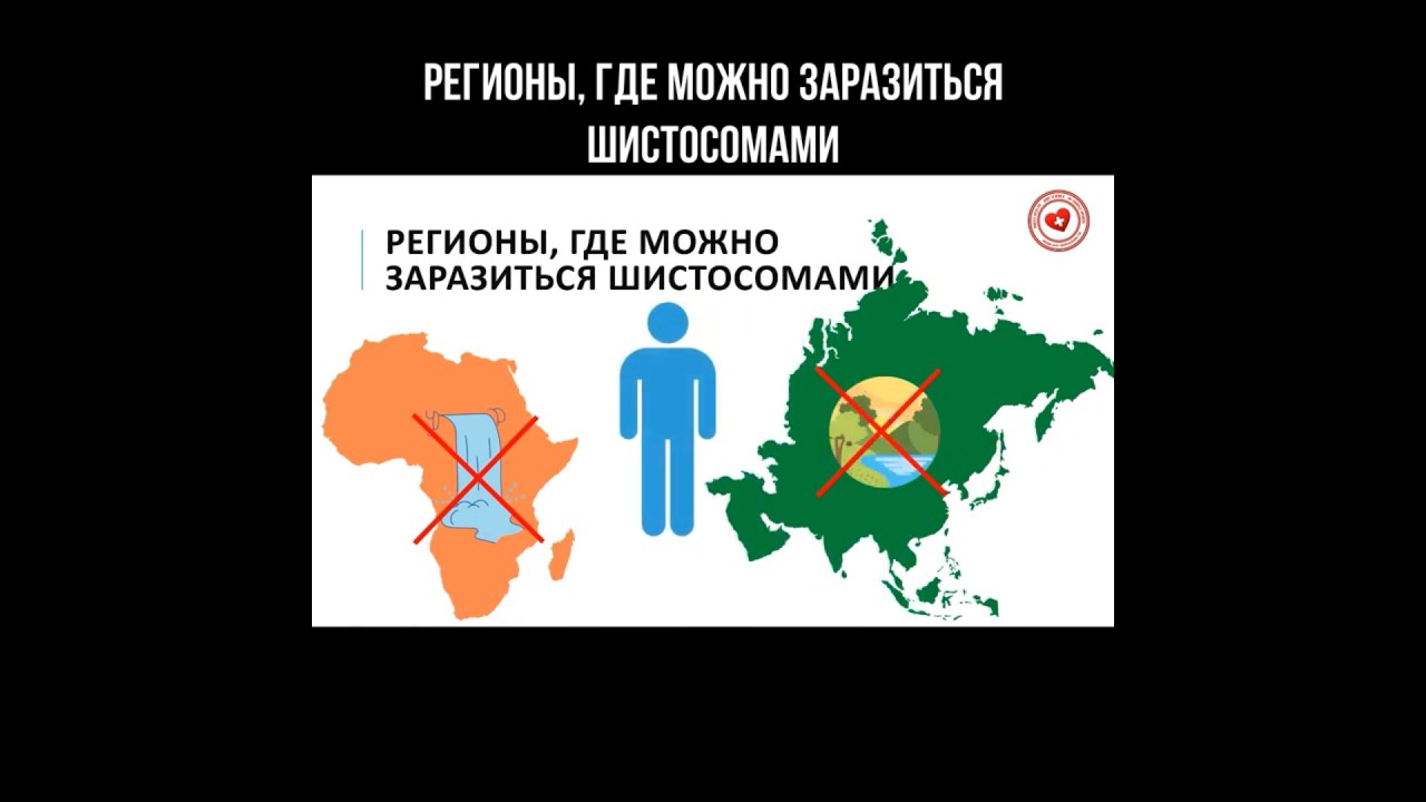 Регионы, где можно заразиться шистосомами #африка #азия #шистосомы