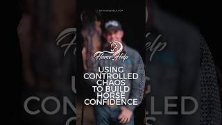 Using Controlled Chaos to Build Horse Confidence