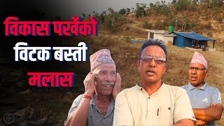 वकस परखक वटक बसत मलस Paschimpress