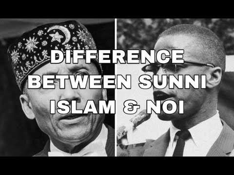 Difference Between Sunni Islam  NOI