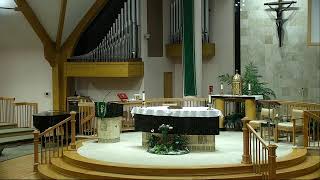 Discovering the Kingdom of God Within: A Homily on Life's True Treasures