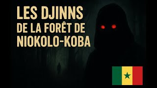 Les Djinns De Niokolo-Koba Lhistoire Terrifiante Du Sénégal Que Personne Nose Raconter