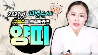 2021년 신축년 미리보는 띠별운세 양띠운세 91년생 79년생 67년생 55년생│구설수를 조심하라 !