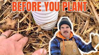 Planting Fruit Trees: 3 Things to Know BEFORE Planting
