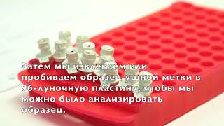 Cattle Genomics Russian subtitles