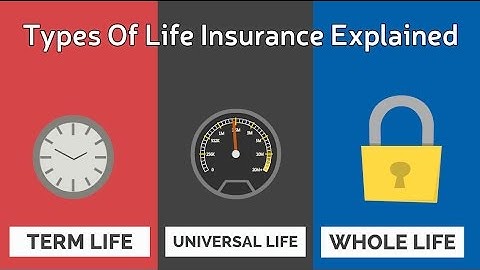 Types Of Life Insurance Explained