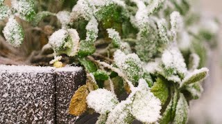 Is it SNOWING again in WYOMING?