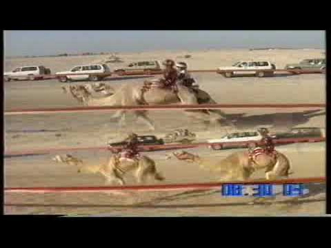 منصورة ل سعادة الشيخ خليفة بن عبدالله بن خليفة ال ثاني سباق ولي العهد 11 2 2004 بندقية ذهبية حيل