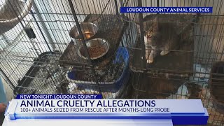More than 100 animals recovered from rescue group in Loudoun County
