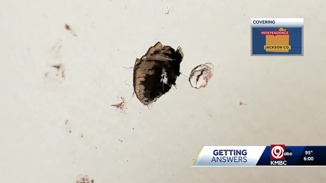 Independence home invasion: 78-year-old man assaulted, threatened