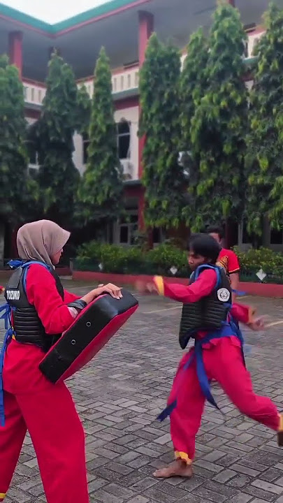 Tapak suci💪 #pencaksilat