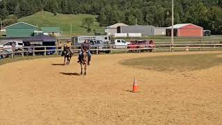 2025 Central Wv Mule & Donkey Show Wild Mule Race