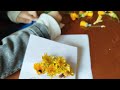 دردشه مسائية مرحبا بكم دردشه مسائية مرحبا بكم