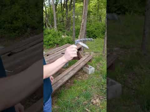 Bear Ops 30th Anniversary