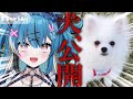 Content Thumbnail