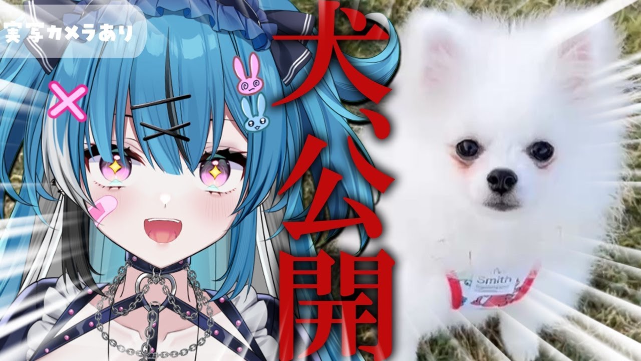 犬、飼いました。【深層組 / VTuber】