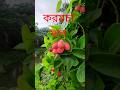 #nature #globaltrending