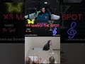 He Brought a Pistol?! #reactions #crime #everyone #police #xsakasmerderty #fypシ゚viral