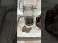 Making a magical jar