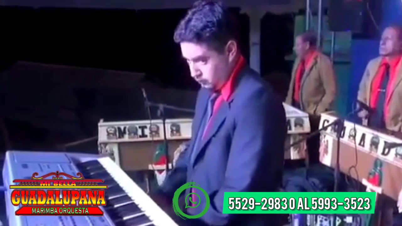 Marimba Orquesta Mi Bella Guadalupana en vivo YouTube