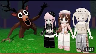 : ( )  ,    ?