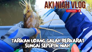 Tarikan Udang Galah Berkarat Sg Sepupok Niah || Bersama Jerry Niah Vlog #borneofishing #sarawak