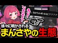 配信中に徐々に明かされていくまんさやの生態