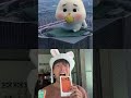 So cute rabbit #funny #cute