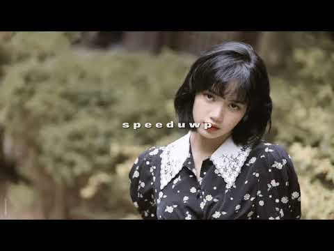Blackpink & Selena Gomez- ice cream (speed up)