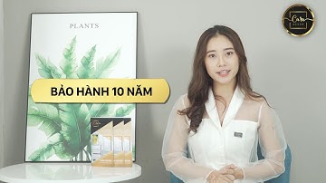 Giới thiệu tranh Canvas từ thương hiệu Cara Decor