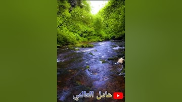 الشيخ عبد الحميد إرشاد 13رمضان 1443/2022 ما تيسر من سورة النحل