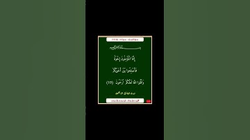 سورة الحجرات - سورة 49 - اية 10
