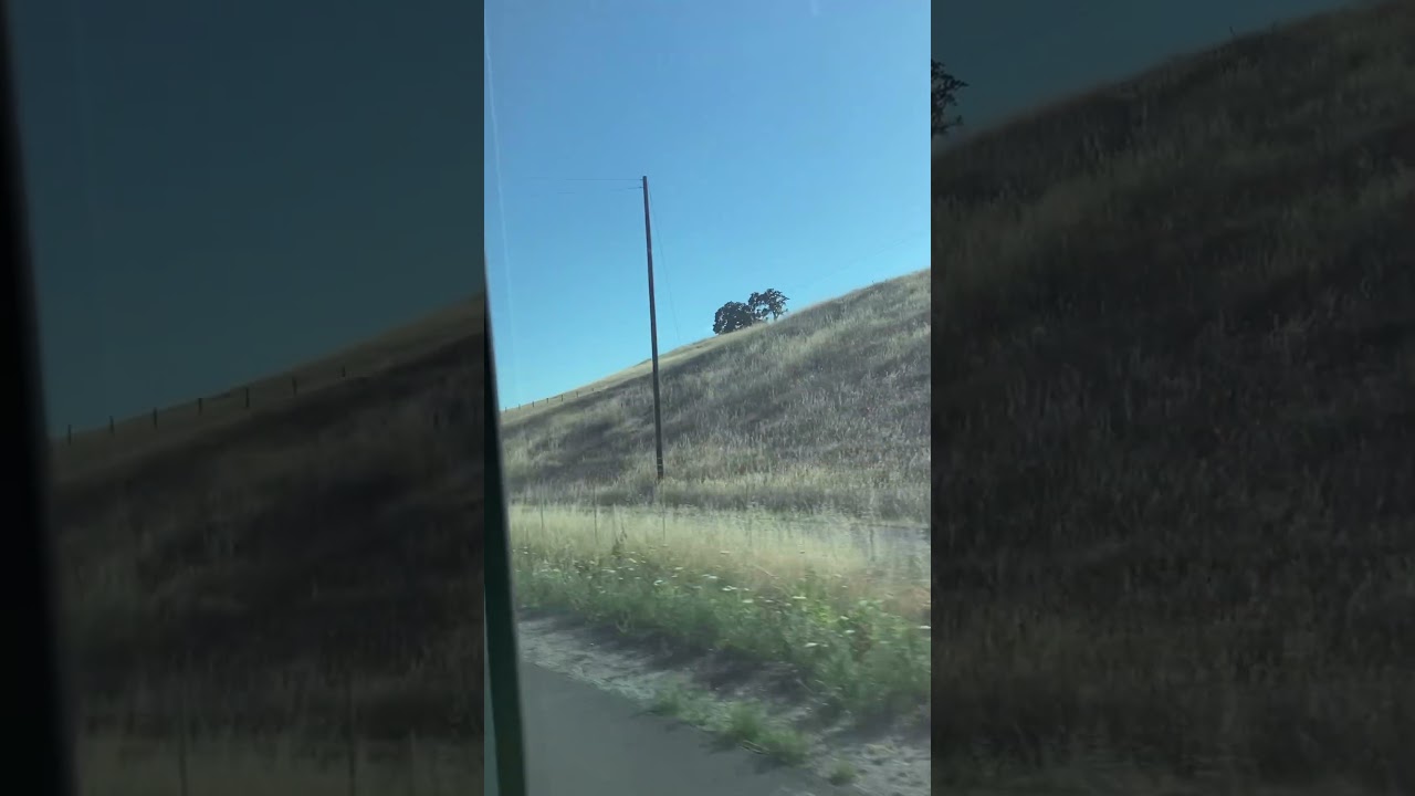 Natural beauty in Petaluma, California