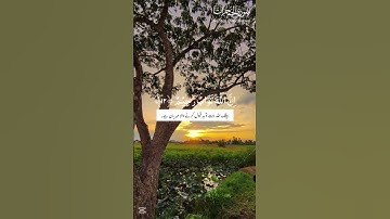 📖 Surah Al-Hujurat _ Verse 12 | Nisa ul jannah | سورة الحجرات