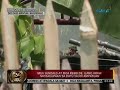 24oras: Mga sundalo at mga rebelde, ilang araw nagsagupaan sa Datu Saudi Ampatuan Mp3 Song